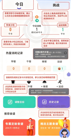 ��ȼapp�ֻ���