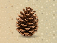 �ɹ�������ʲô��һ�Ŀ������ܾ���ϵͳ����