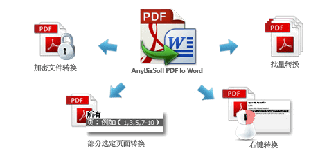 AnyBizSoft PDF to Word ����ת�� ����