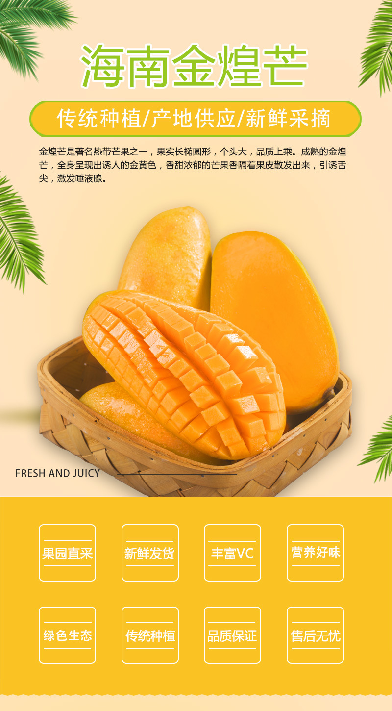 金芒果产地直供新鲜水果