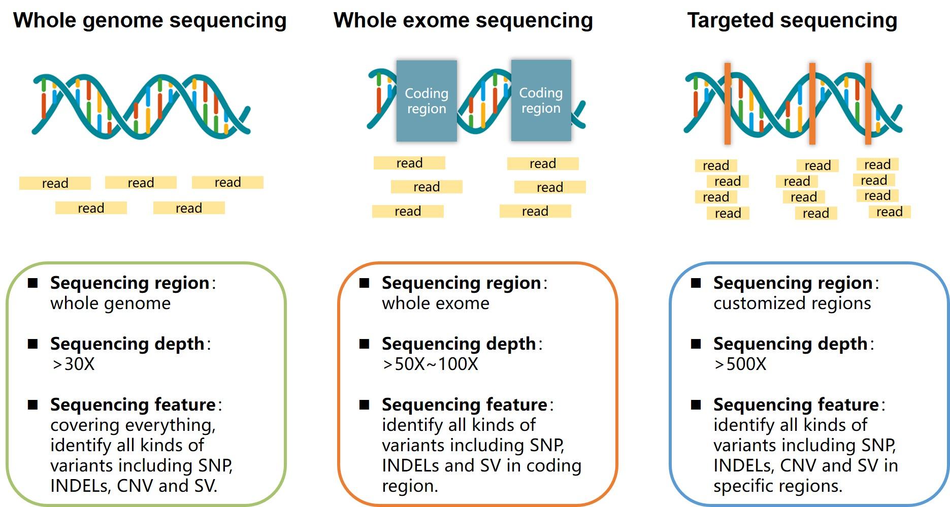 Galaxy Genome ���бȶ���������������