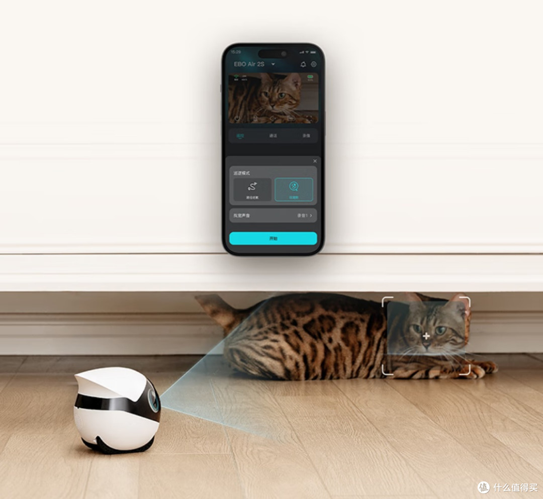 �������RpetCompanionR���������������ȫ�Ҹ����������