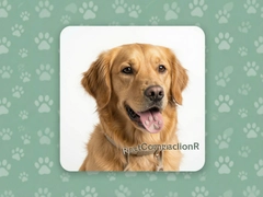 �������RpetCompanionR�����������