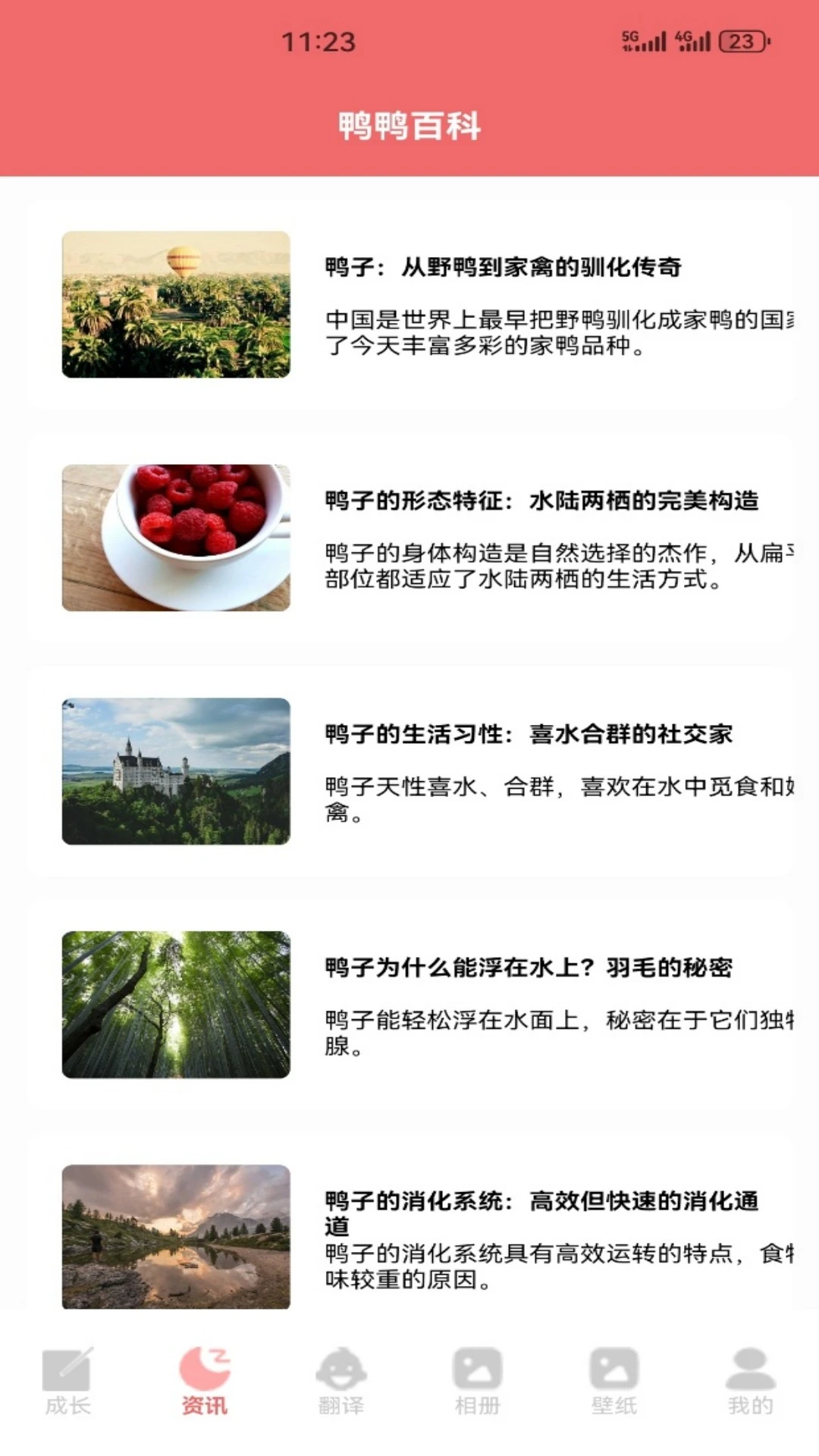 ѼѼ����1.6 ׬Ǯ���а�