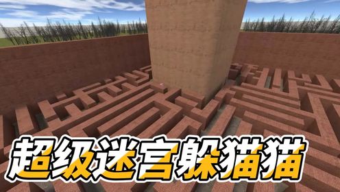迷宫躲猫猫 猫抓捕技巧 预判走位