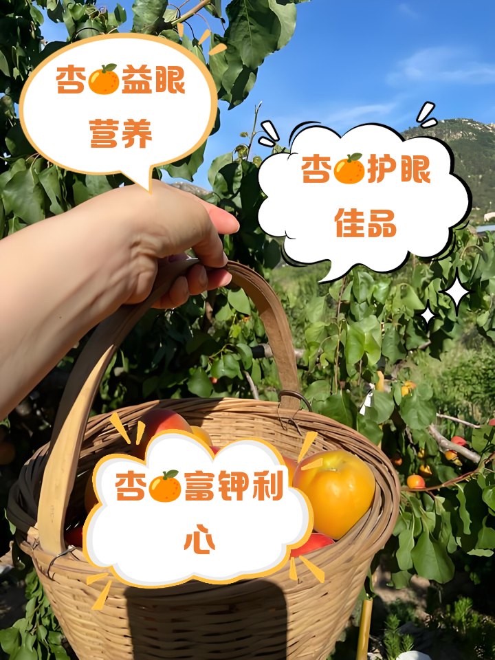 �����ػ��ɷְ�ȫ����ע������