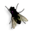 Fly on desktop1.0.0 �����ȳ����