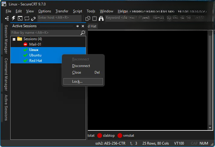 SecureFX8.5.1 ��ȫ�ļ����乤��