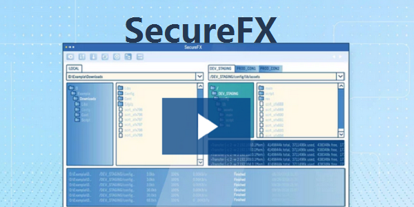 SecureFX �����Ż� ����