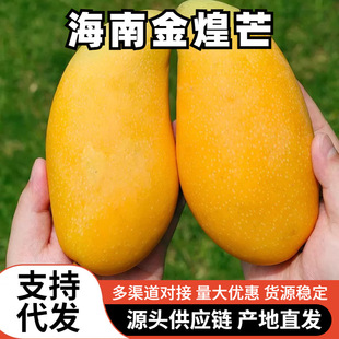 ��â�����ʵ�������ˮ�������۸�����