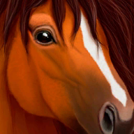 Ұ��ģ�������°�����(UltimateHorse)v1 �ֻ���