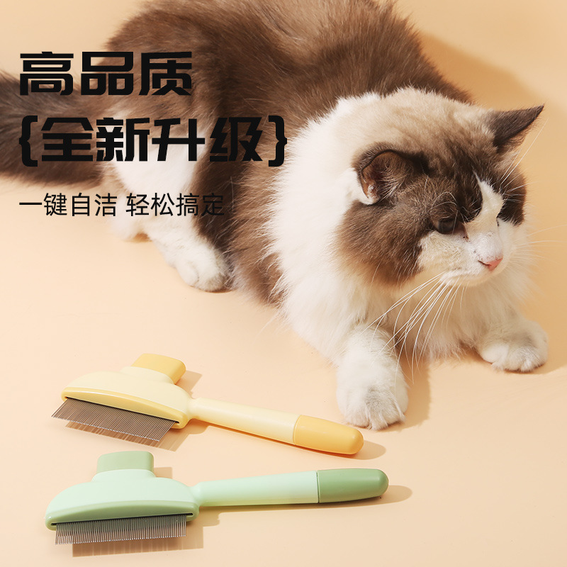 Ŵѩ���� ��� ���� �����Ʒ ȫ�Ҹ�