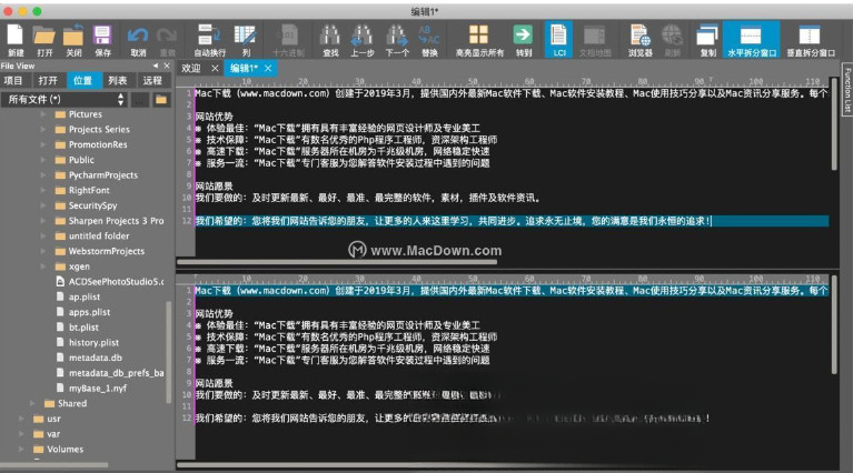 UltraEdit2026.1.0.88 רҵ�ı��༭��