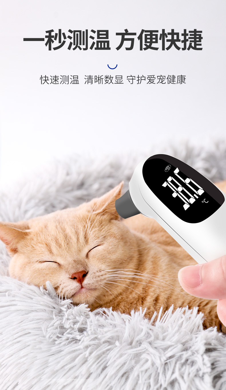 onlypet����������ǣ������ٶ������Ч��ʵ�⣬�������¶Ⱦ�����չʾ