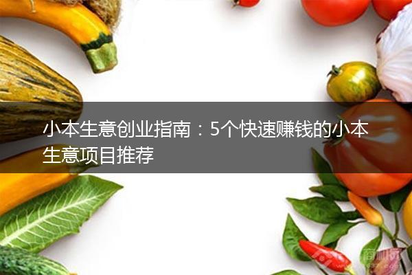 С����ҵѡ��������Ŀ �������