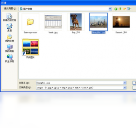 The JPEG Wizard ����˵�� ���� ���� ��׿��