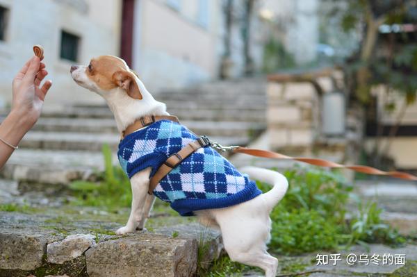 ���ǳɳ��� ��Ȯ����ѵ�� ��ʳ��������