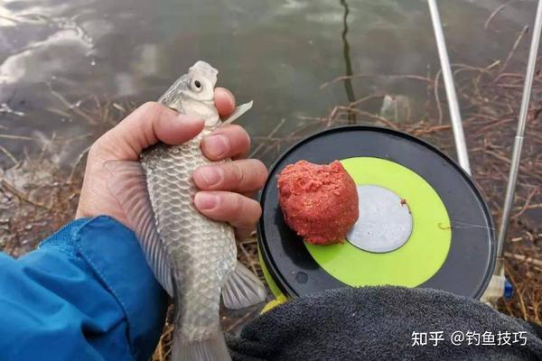 �������㿪���ϼ��ɷ�������