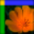XPictureͼƬ�����1.0.0 ��Ч��ͼ����