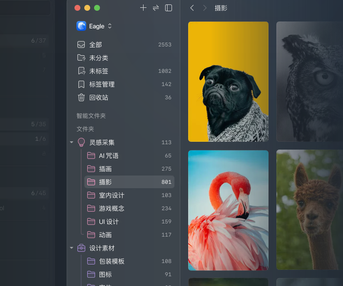 Eagle ���� ��ͼ �ղع��� ��׿��