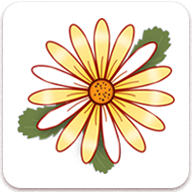 �¾��ڼ�¼Period Tracker1.2.34 �����ڹ���