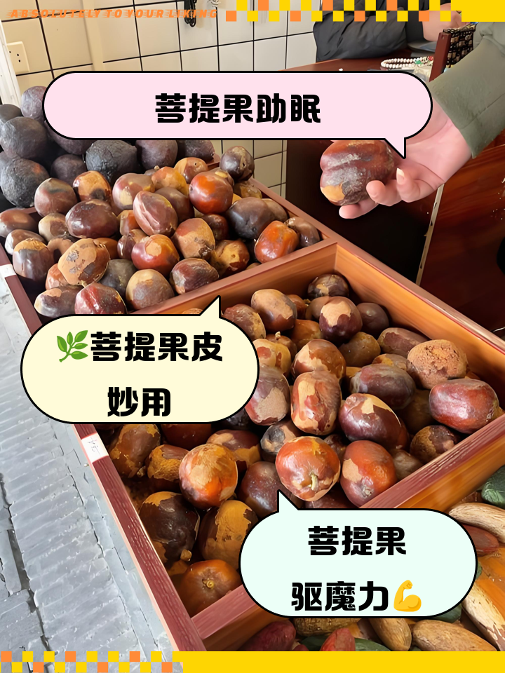 ����� ��ˮ ���� ����