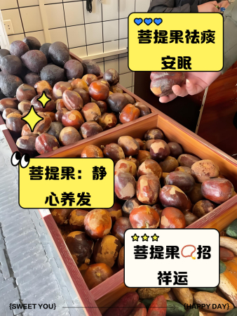 ����� ʳ�ý��� ���淽��