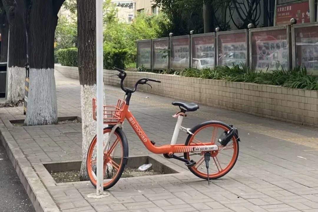 ���� ��ͨ����ʡǮ���� ������������