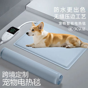 onlypet����������ǣ� ������µ� �ļ�ͨ�� ������