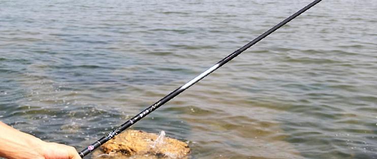 ���㹫˾Fishing Inc. ʵս���� ���� ���