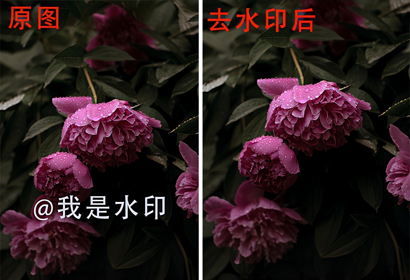ˮӡ��ʦ ���ӱ���ȥˮӡ Ч��ϸ�ڶԱ�