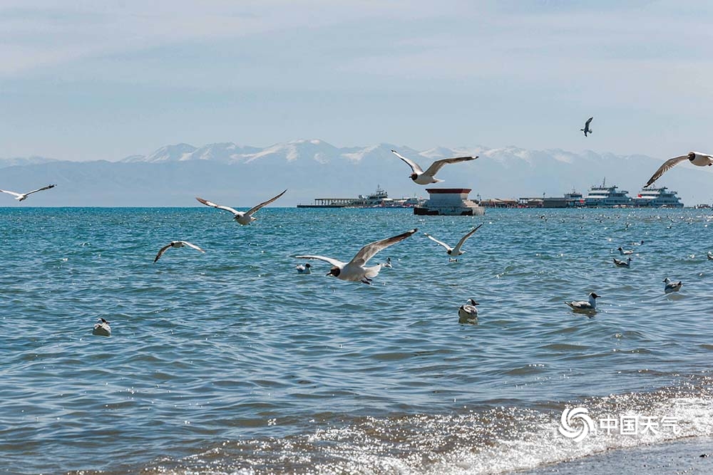 �ຣ�۲� �ຣ�� ���� ��̬��������