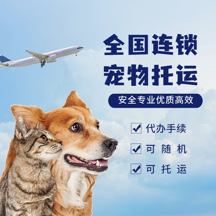 宠物托运 价格 经验分享 安全 到达