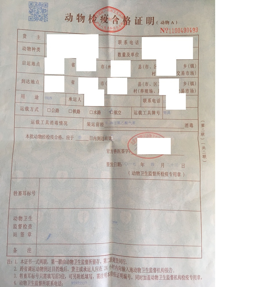 宠物托运 注意事项 检疫证明 航空箱 避坑