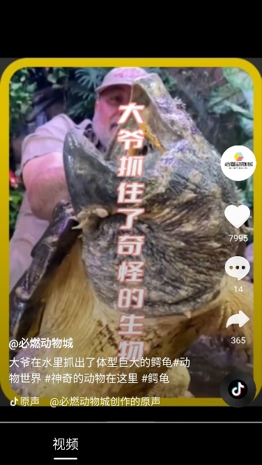 �Ҹ��̾�1.0.1 �̾粥��