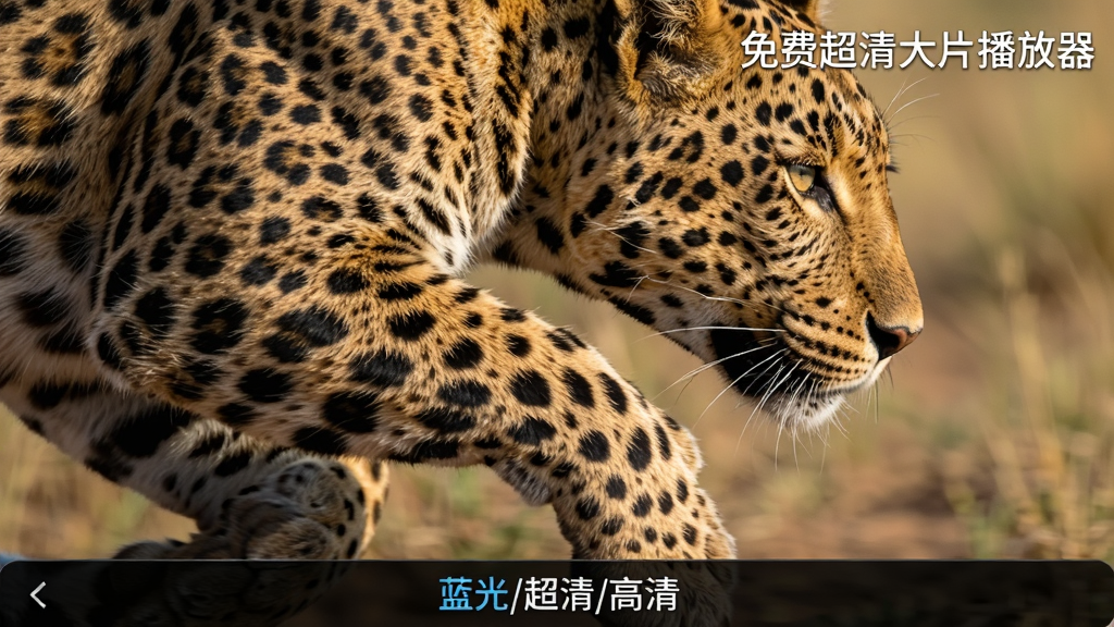 �����Ӱ������д����ʾһֻ���ӱ��ܵ�ë��ϸ�ڣ����Ͻ��С���ѳ����Ƭ��������͸��ˮӡ���ײ���������ѡ��˵�������/����/���塱�����廭������ͨ͸��ɫ�ʱ��������дʵ������ϸ��ɾ���