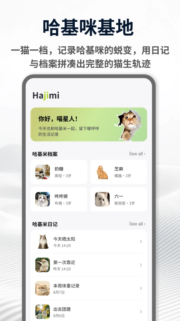 ������Hakimi1.0.4 ħ����Ч������
