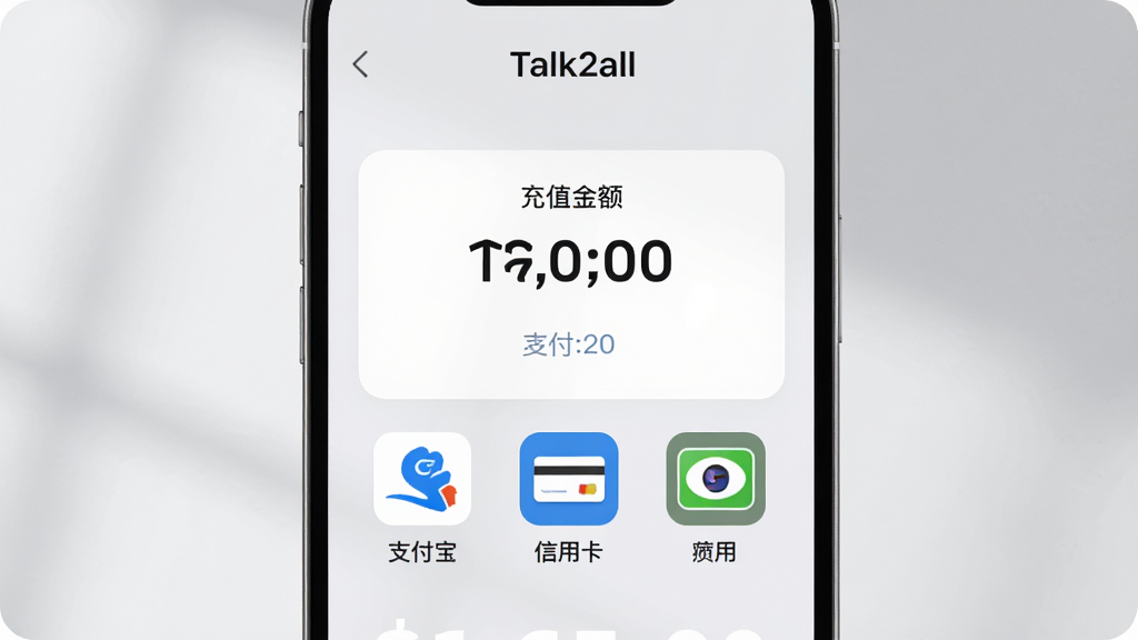 һ��չʾ��Talk2all��Ӧ����֧������ĸ���ͼ������������ʾ��ֵ���ѡ��·��С�֧�������������ÿ�����֧��ͼ�꣬����Ϊǳ��ɫ��������͹�ӰЧ����������Ƽ��󷽣����������������߻��ʣ��޶���Ԫ��