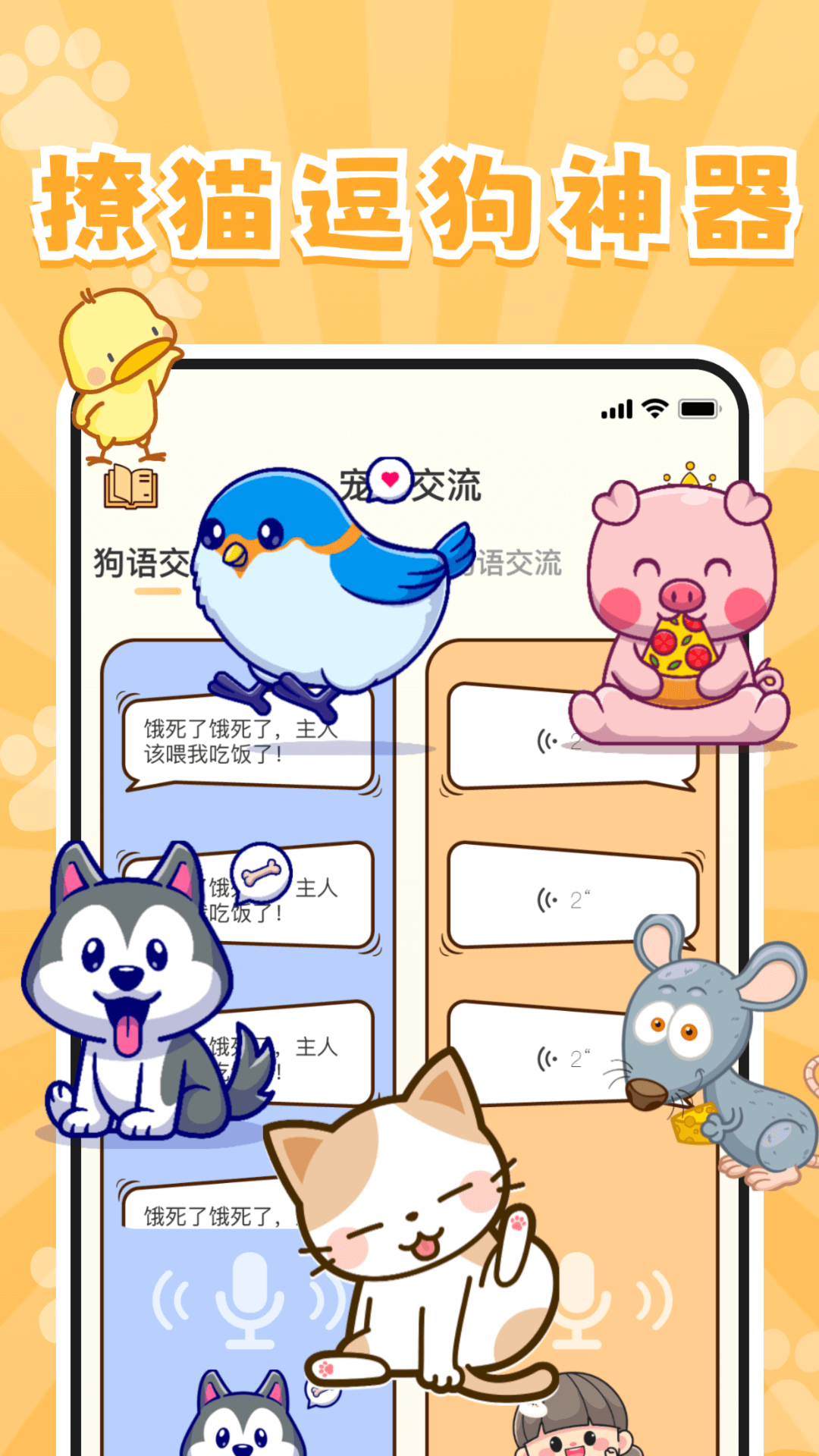 ����è�䷭���� �ֻ��� ���� �ƽ��
