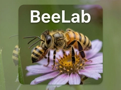 BeeLab�۷�ʵ�����������Ž̳���ʹ�ü���