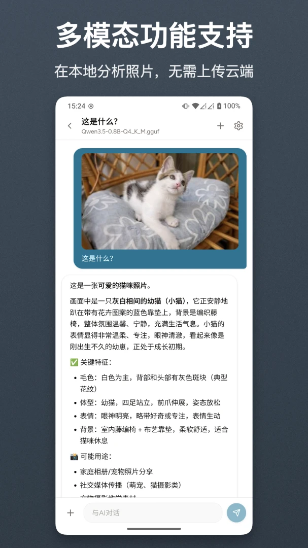 ���LocalAI2.0 AI������������
