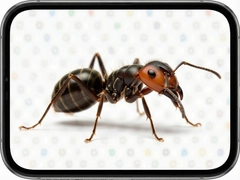 ���ϸ�����ô�ý̳̣����ָ���������ע����