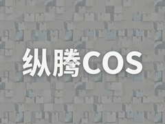 ����COS��������������ô�㣿�����շѱ�׼��