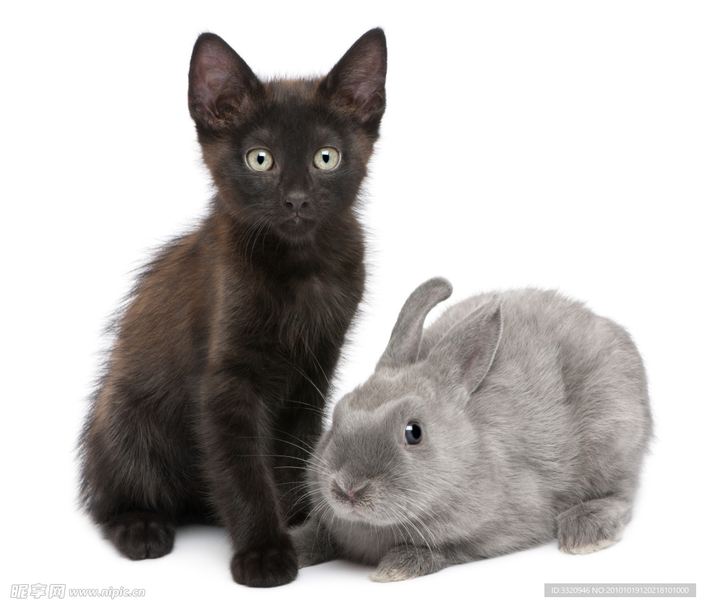 ��è��� ����è��һ�����ɢ�� ��г�ദ�������