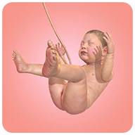 �Ÿ������°�����(Idle 9 Months)v1.41.9 �ֻ���