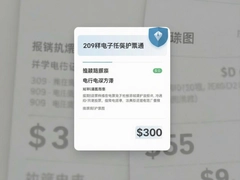 �������ӷ�Ʊͨ���ٲ���ָ��