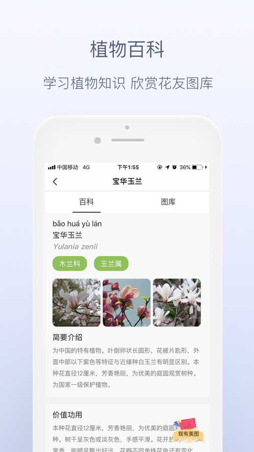 ���ղ�ʶ�𻨲�ֲ�� ���ʶ����������ԱȽ�ͼ