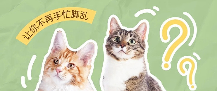 Сè����� ������èѡ���ܿ�ָ�� è�䲹���ʵ��Ա�