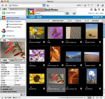 Adobe Bridge CS4 ���湦��չʾͼ