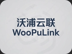 ��������WoPuLink��ҵ�����������������
